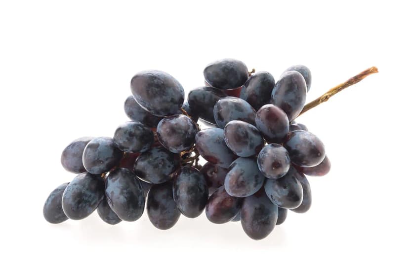 Black Grapes