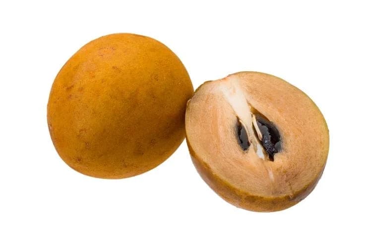 Chikoo