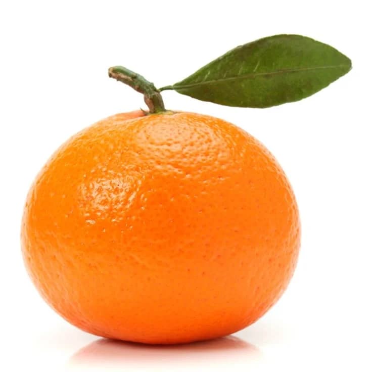 Orange Mini