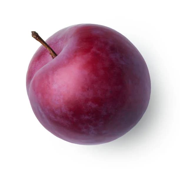 Plum